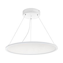 Eglo - Lámpara LED colgante regulable 1xLED/36W/230V