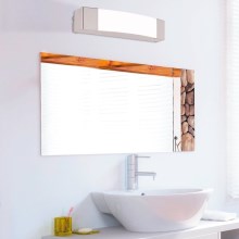 Eglo - Lámpara LED para espejo de baño LED/8,3W/230V IP44