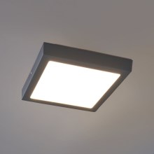 Eglo - LED Plafón exterior LED/22W IP44