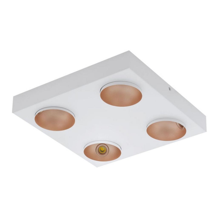 Eglo - LED Plafón regulable 4xLED/3,3W/230V