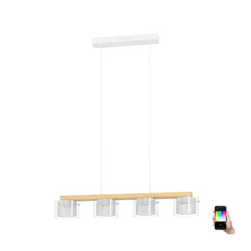 Eglo - LED RGBW Lámpara colgante regulable 4xLED/3,7W/230V 2700-6500K