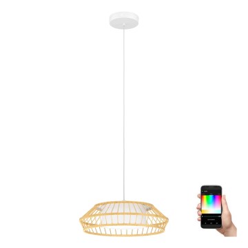 Eglo - LED RGBW Lámpara colgante regulable LED/22W/230V 2700-6500K