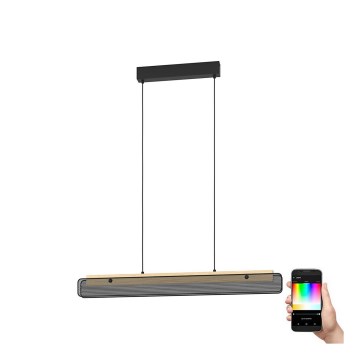 Eglo - LED RGBW Lámpara colgante regulable LED/34W/230V 2700-6500K