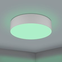 Eglo - LED RGBW Plafón regulable LED/35W/230V gris