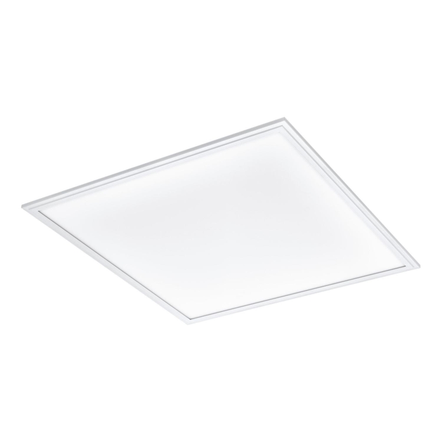 Eglo - Panel LED de techo LED/40W/230V