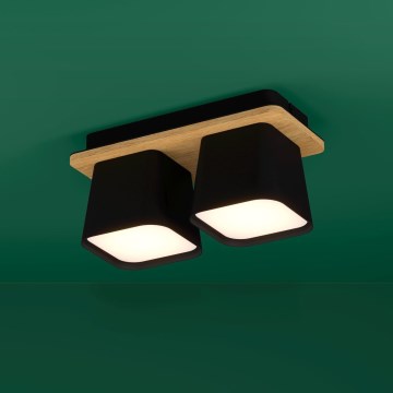 Eglo - Plafón 2xE27/40W/230V negro/marrón