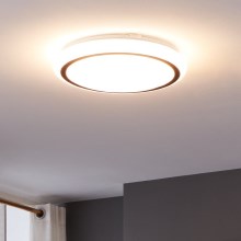 Eglo - Plafón LED LED/14,6W/230V