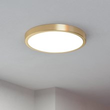 Eglo - Plafón LED LED/20,5W/230V diá. 28,5 cm