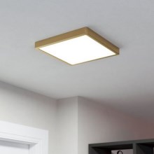 Eglo - Plafón LED LED/20,5W/230V