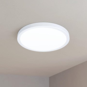 Eglo - Plafón LED LED/20W/230V