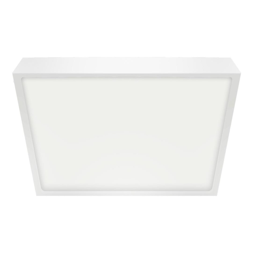 Emithor 49041 - Plafón de baño LED LENYS LED/24W/230V 240 mm IP44