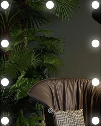 Espejo LED con iluminación 9xLED/1W/230V 3000/4000/6000K 50x40 cm IP44