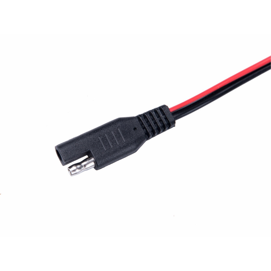 Extol Premium - Cargador de batería de coche 9 fases 6/12V 4A IP65