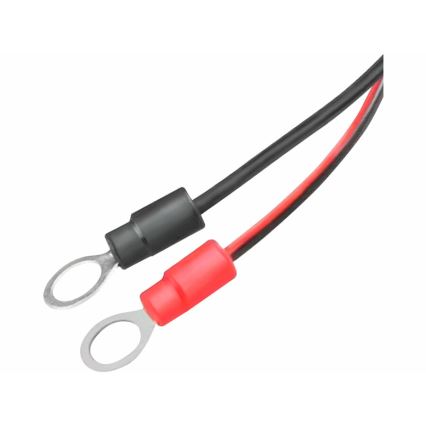Extol Premium - Cargador de batería de coche 9 fases 6/12V 4A IP65