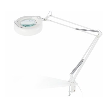 FARO 50040 - Lámpara de mesa con clip MAGNI 1xG10q(T9)/22W/230V