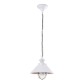 FARO 71106 - Lámpara colgante exterior NAUTICA-P 1xE27/11W/230V