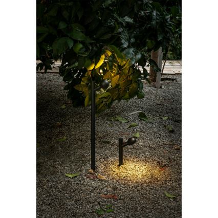 FARO 75570 - Lámpara LED de exterior BROT LED/7W/230V 20 cm IP65