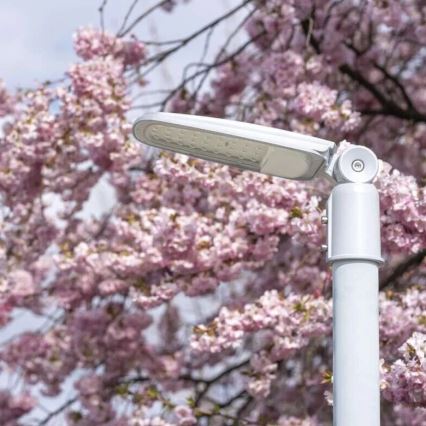 Farola LED SOLIS LED/50W/230V 4000K IP65