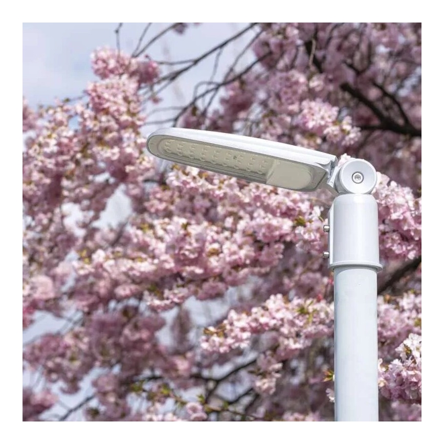 Farola LED SOLIS LED/50W/230V 4000K IP65