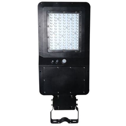 Farola solar LED con sensor LED/40W/9,6V IP65 6000K + control remoto