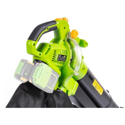 Fieldmann - Aspirador y soplador de jardín sin cable 20V