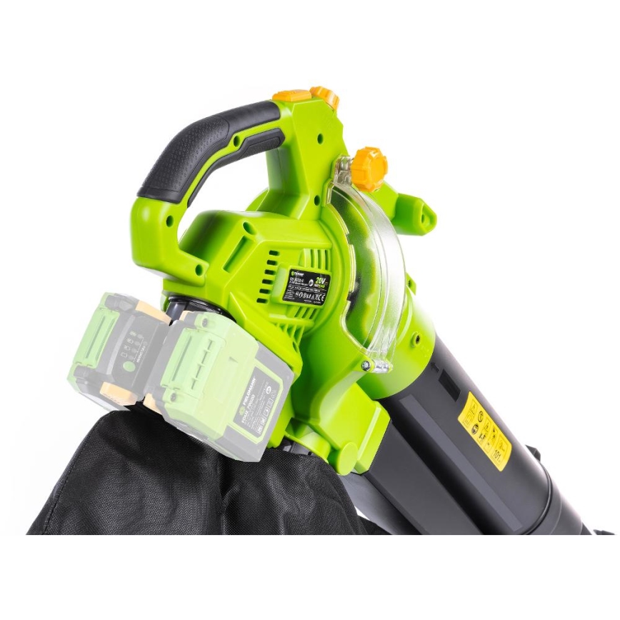 Fieldmann - Aspirador y soplador de jardín sin cable 20V