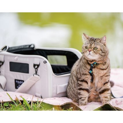 Fikago - Bolsa de transporte para perros y gatos TRUFFLE Grey