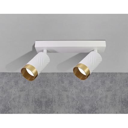 Foco ARRAS 2xGU10/10W/230V blanco