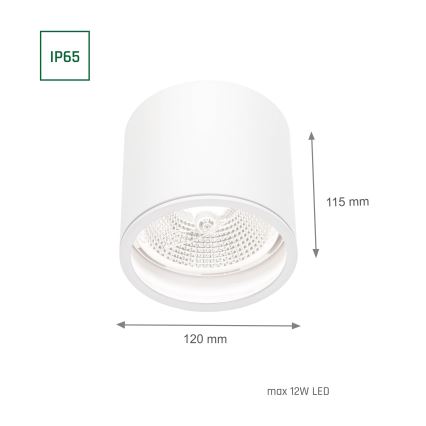 Foco de baño CHLOE AR111 1xGU10/12W/230V IP65 redondeado blanco