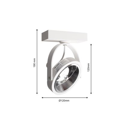 Foco de pared LUGAR 1xAR111 - GU10/25W/230V