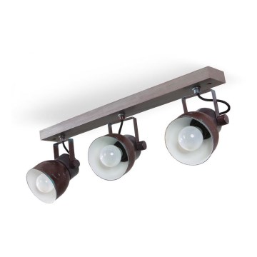 Foco de techo VIANA 3xE27/60W/230V