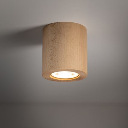 Foco EVE 1xGU10/10W/230V haya