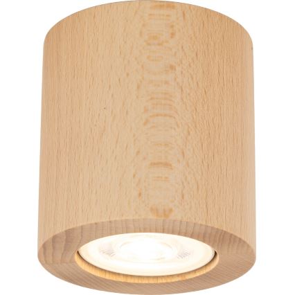 Foco EVE 1xGU10/10W/230V haya