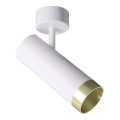 Foco FADO 1xGU10/10W/230V blanco