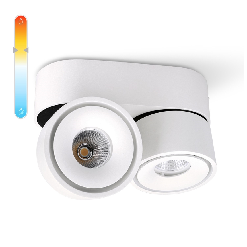 Foco LED regulable LAHTI MINI 2xLED/9W/230V 3000K CRI 90 blanco