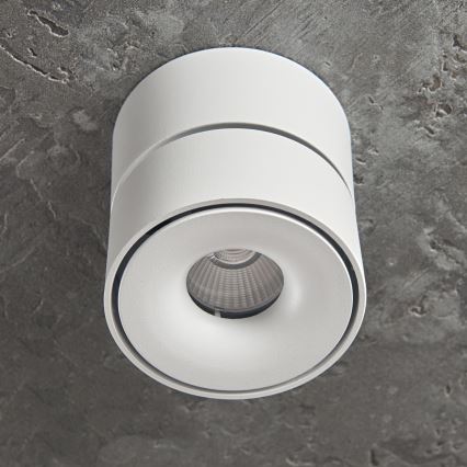 Foco LED regulable LAHTI MINI LED/9W/230V 3000K CRI 90 blanco