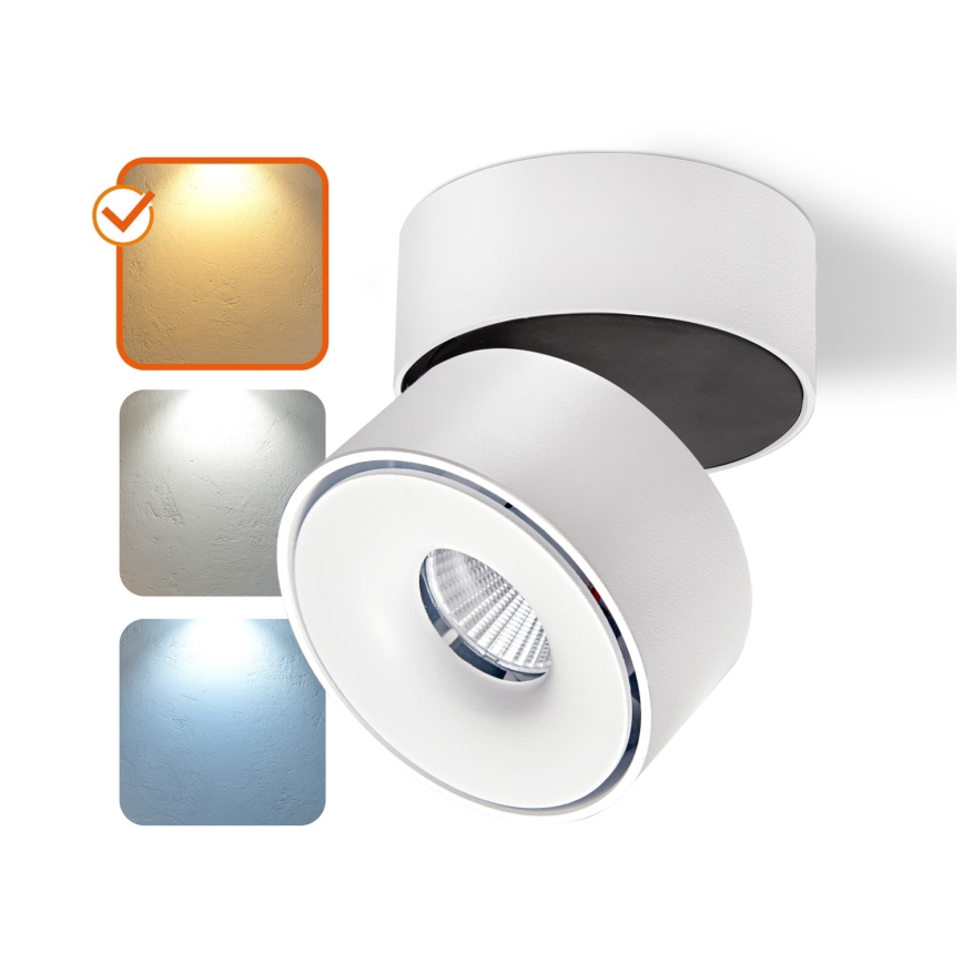 Foco LED regulable LAHTI MINI LED/9W/230V 3000K CRI 90 blanco