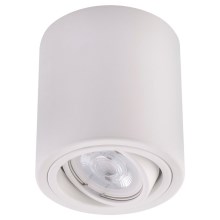Foco LED TUBA 1xGU10/5W/230V 2700K blanco