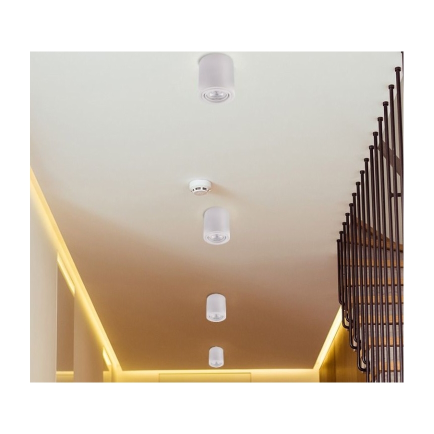 Foco LED TUBA 1xGU10/5W/230V 2700K blanco