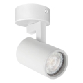 Foco LYNX 1xGU10/10W/230V blanco