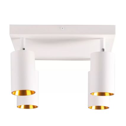 Foco MARIBEL 4xGU10/10W/230V blanco