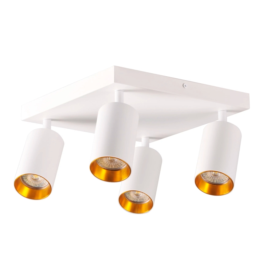 Foco MARIBEL 4xGU10/10W/230V blanco