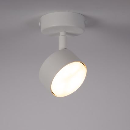 Foco NEMO 1xGX53/12W/230V blanco