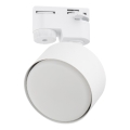 Foco para sistema de raíles monofásico AVIA 1xGX53/15W/230V blanco