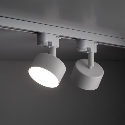 Foco para sistema de raíles monofásico AVIA 1xGX53/15W/230V blanco