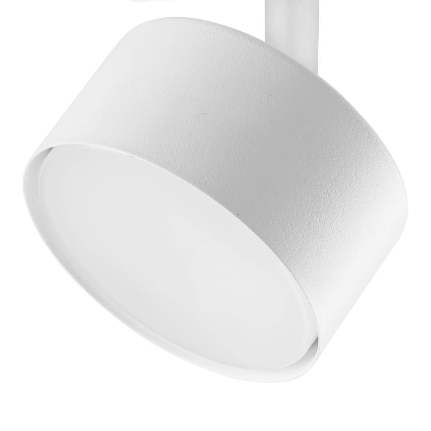 Foco para sistema de raíles monofásico AVIA 1xGX53/15W/230V blanco