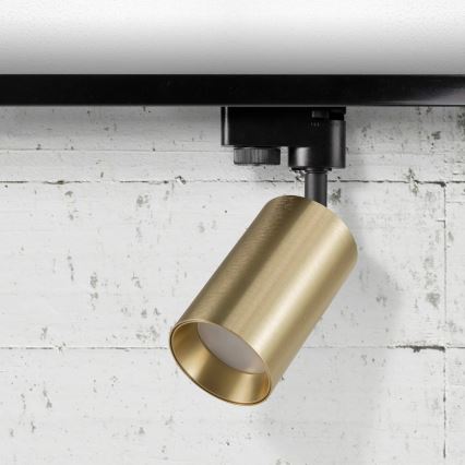 Foco para sistema de rieles MARIBEL 1xGU10/10W/230V dorado