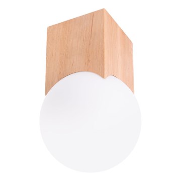 Foco SOLIS 1xG9/8W/230V haya