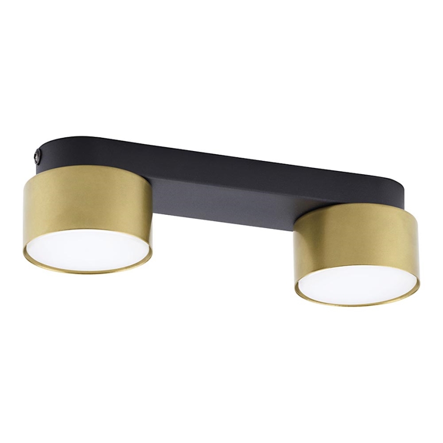 Foco SPACE GOLD 2xGX53/15W/230V