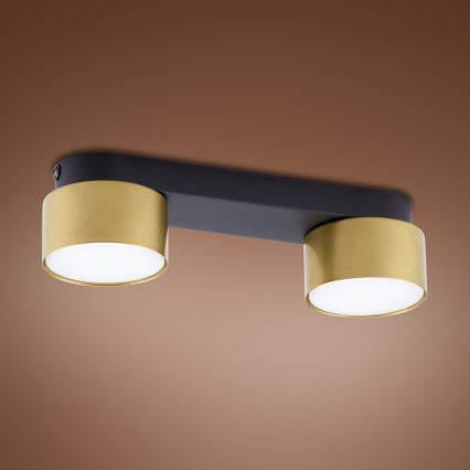 Foco SPACE GOLD 2xGX53/15W/230V